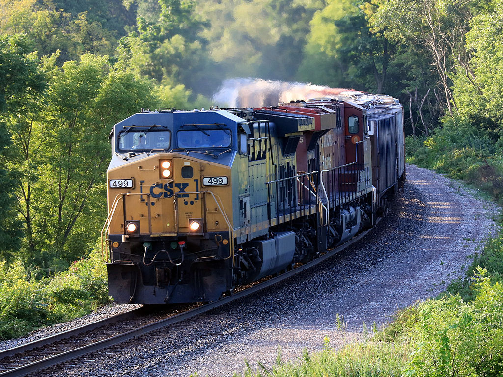 CSX 499